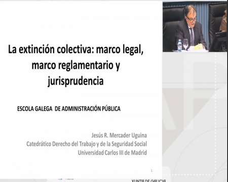  A extinción colectiva: marco legal, marco regulamentario e xurisprudencia 